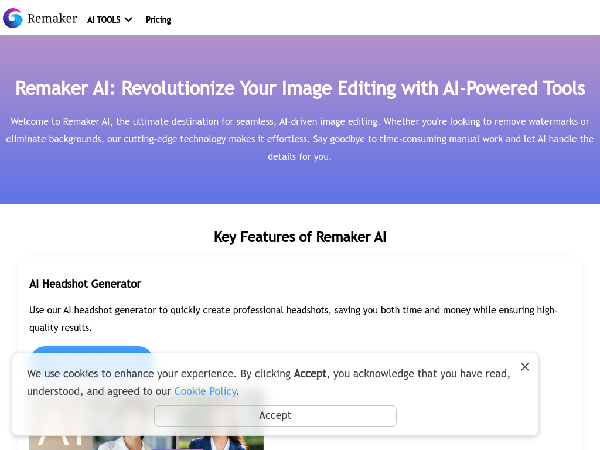 screenshot of Remaker Ai