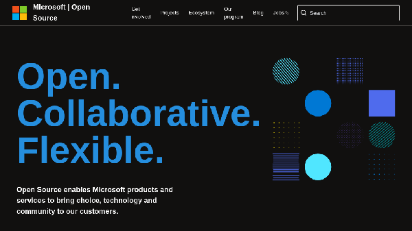 screenshot of Microsoft Open Source