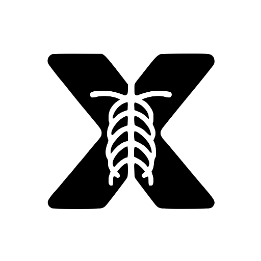 favicon of XRayInterpreter
