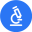 favicon of Delve AI