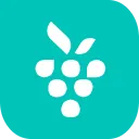 favicon of Berrycast