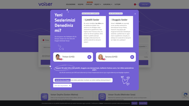 screenshot of Voiser