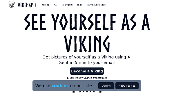 screenshot of VikingPic