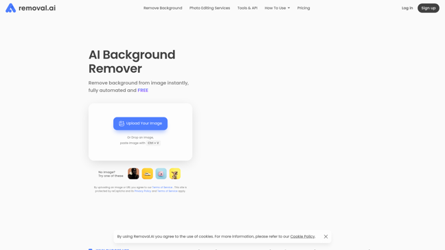 screenshot of Removal.AI