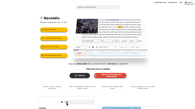 screenshot of Revoldiv