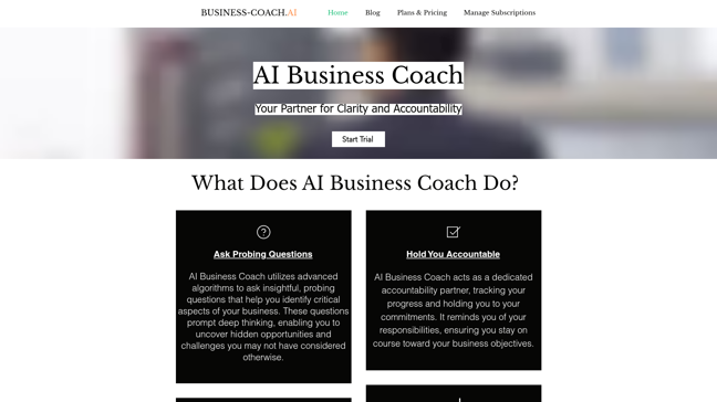 screenshot of AI Business Coach