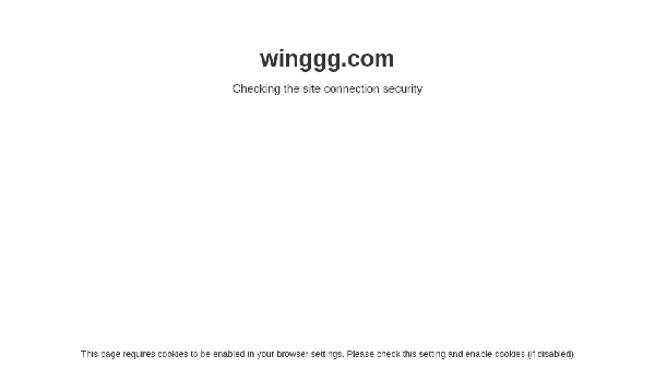 screenshot of Winggg