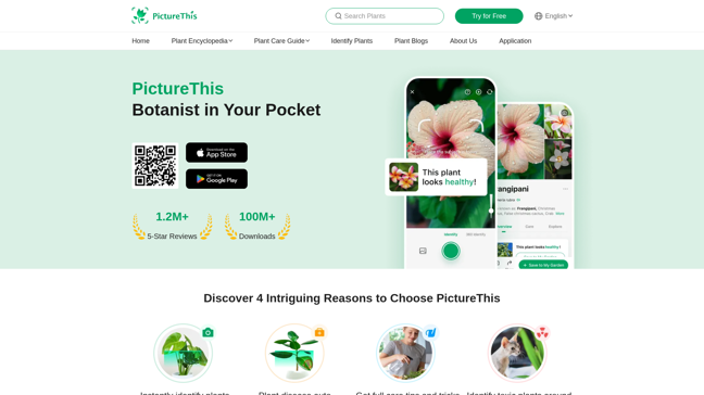 screenshot of PictureThis