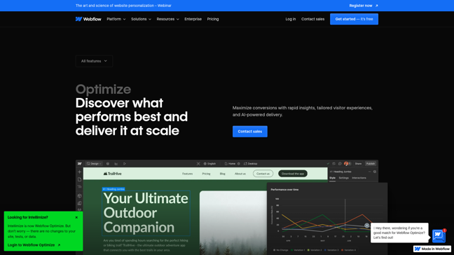 screenshot of Webflow Optimize