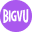 favicon of BIGVU