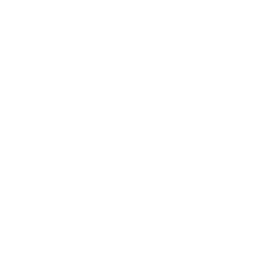 favicon of Cognee