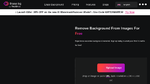 screenshot of Erase.bg