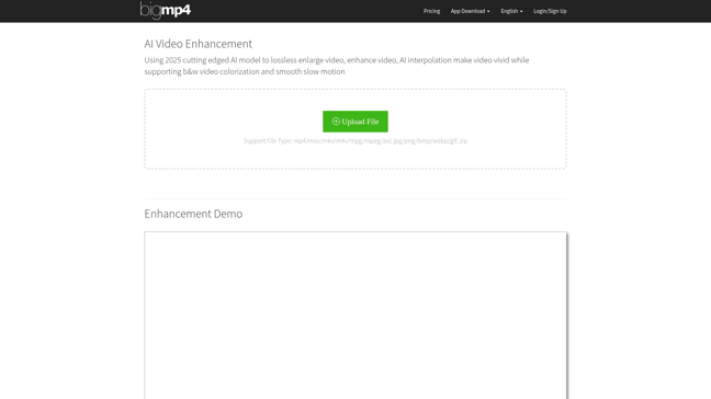 screenshot of Bigmp4