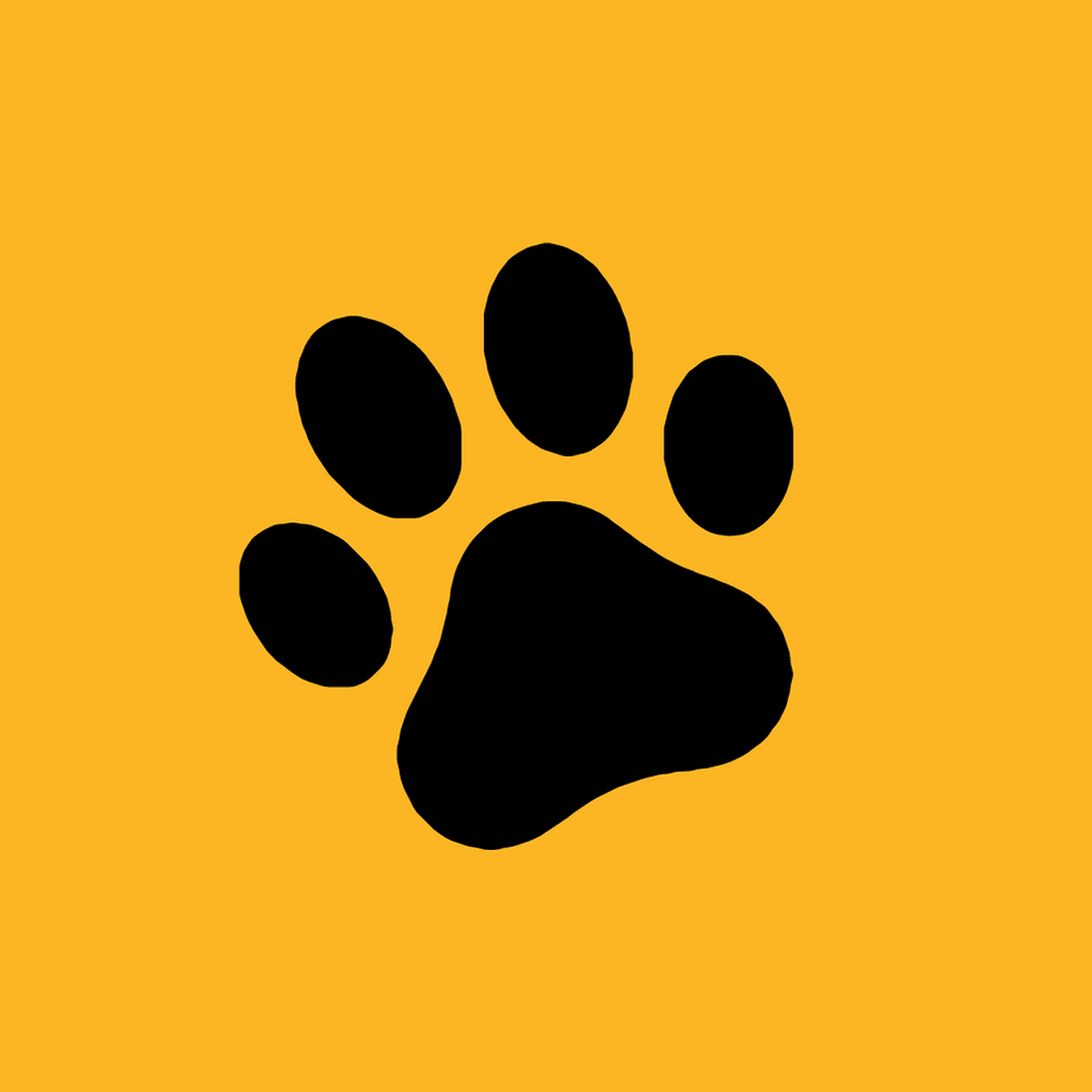 PawDex - AI powered pet health and activity tracker for pet parents